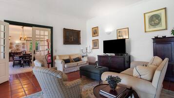 TV, fireplace, table tennis