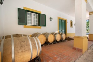 Property grounds - Villa 'Quinta Centieira-Scalab Wine Estate' with Mountain View, Wi-Fi and Air Conditioning (Santarém)