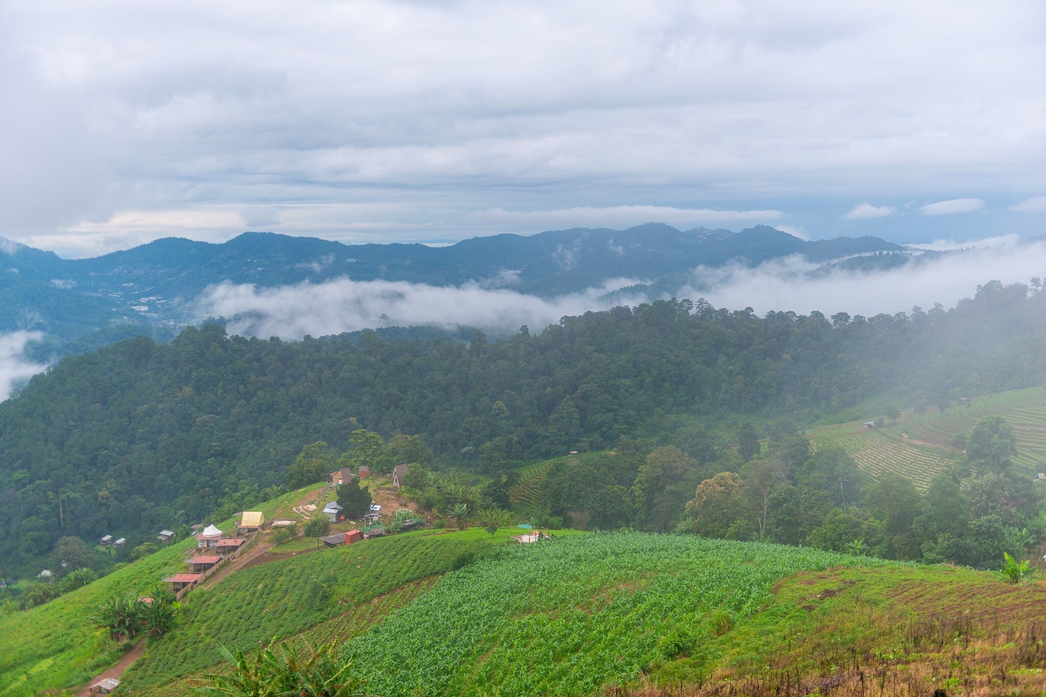 A hilly landscape with terraced fields and scattered houses.