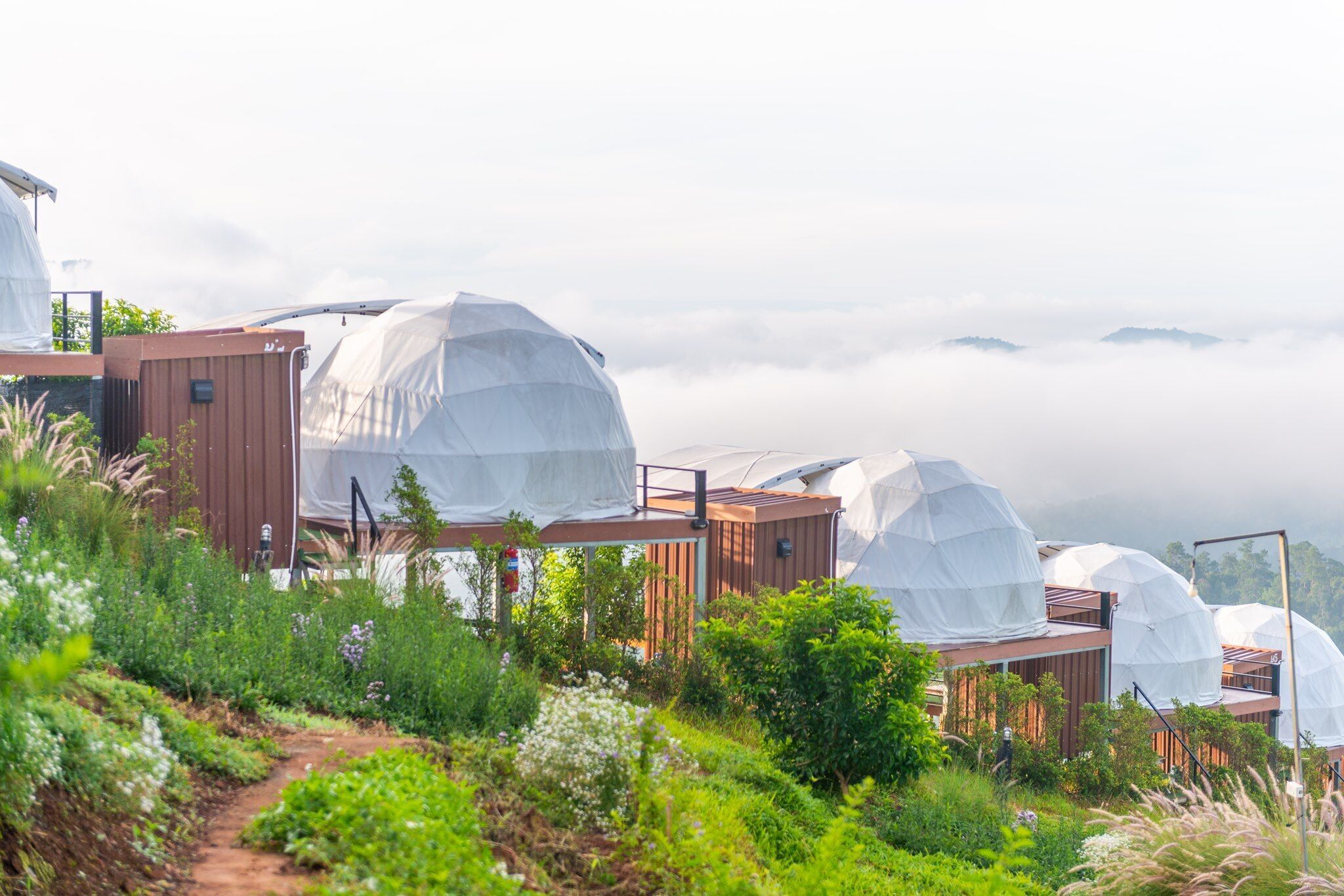 Una serie de estructuras modernas en forma de cúpula, con un sendero que atraviesa un jardín exuberante.