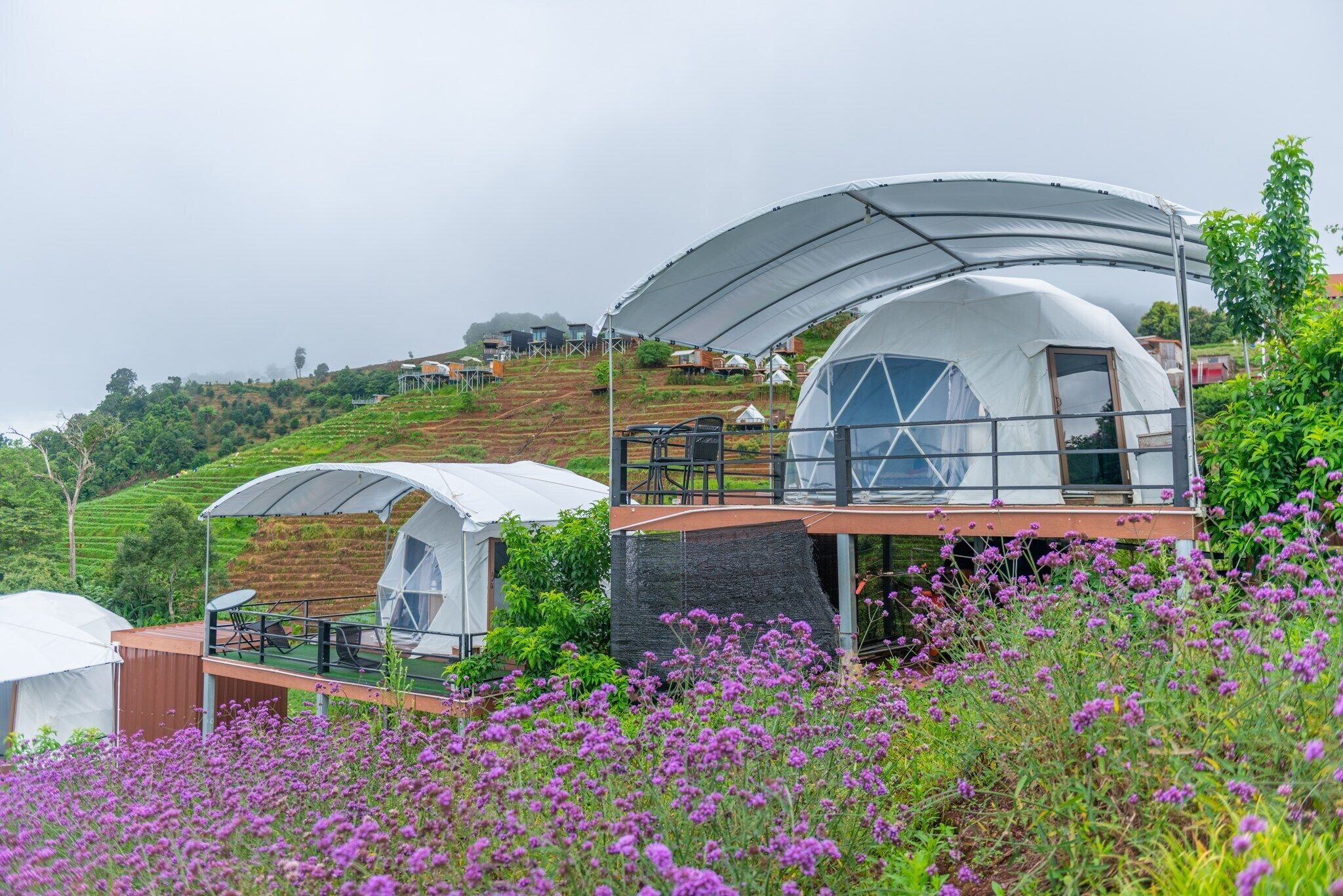 A modern, dome-shaped tent-style accommodation with a covered outdoor seating area, surrounded by lush greenery and purple flowers.
