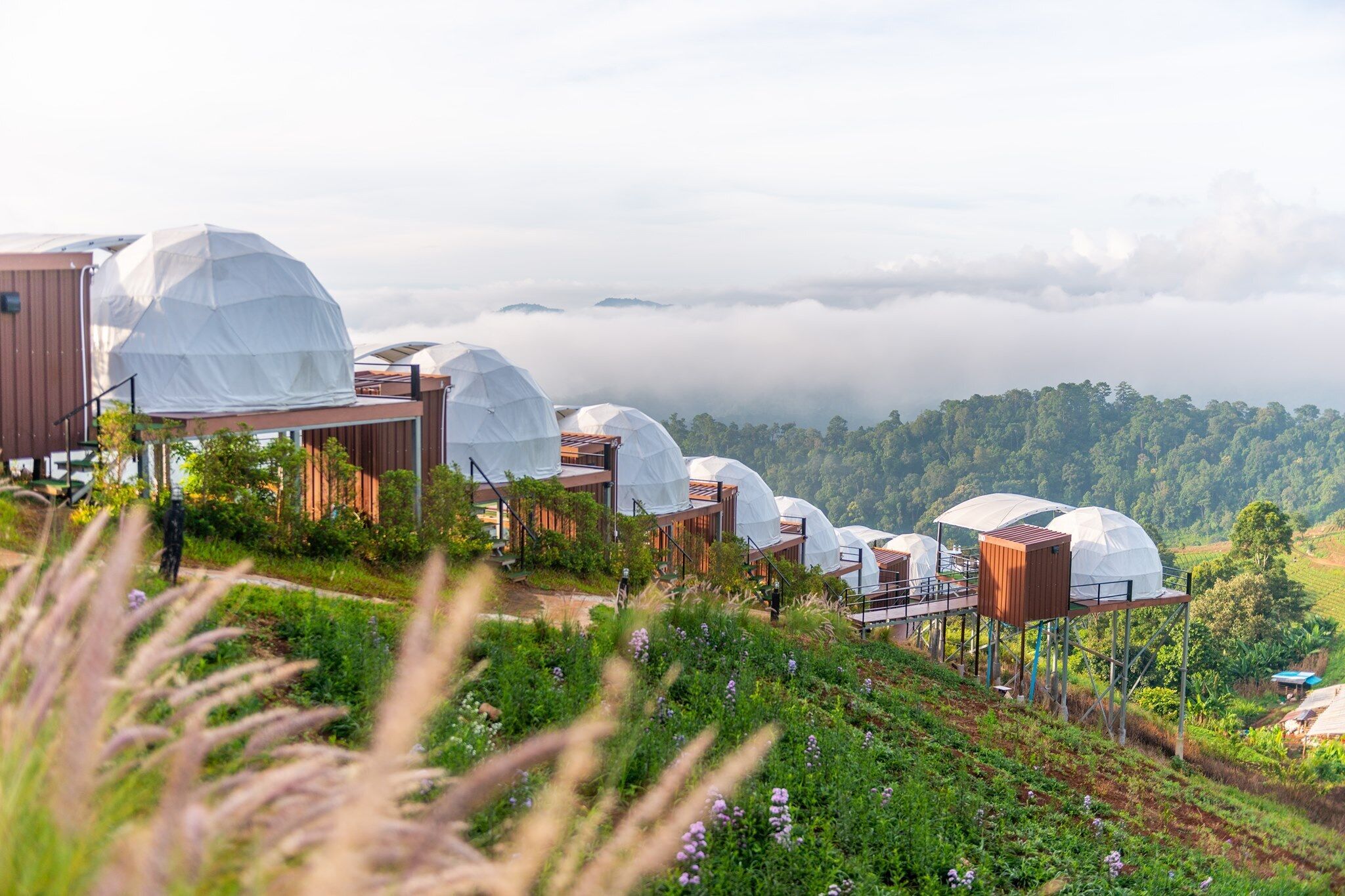 A series of dome-shaped structures with wooden walkways and a lush green landscape in the background.
