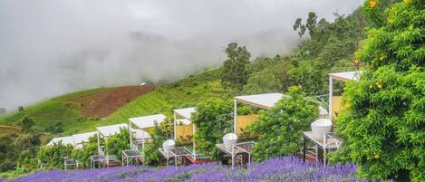 Entorno rural con una hilera de cabañas de techo blanco, rodeadas de exuberante follaje y flores moradas.