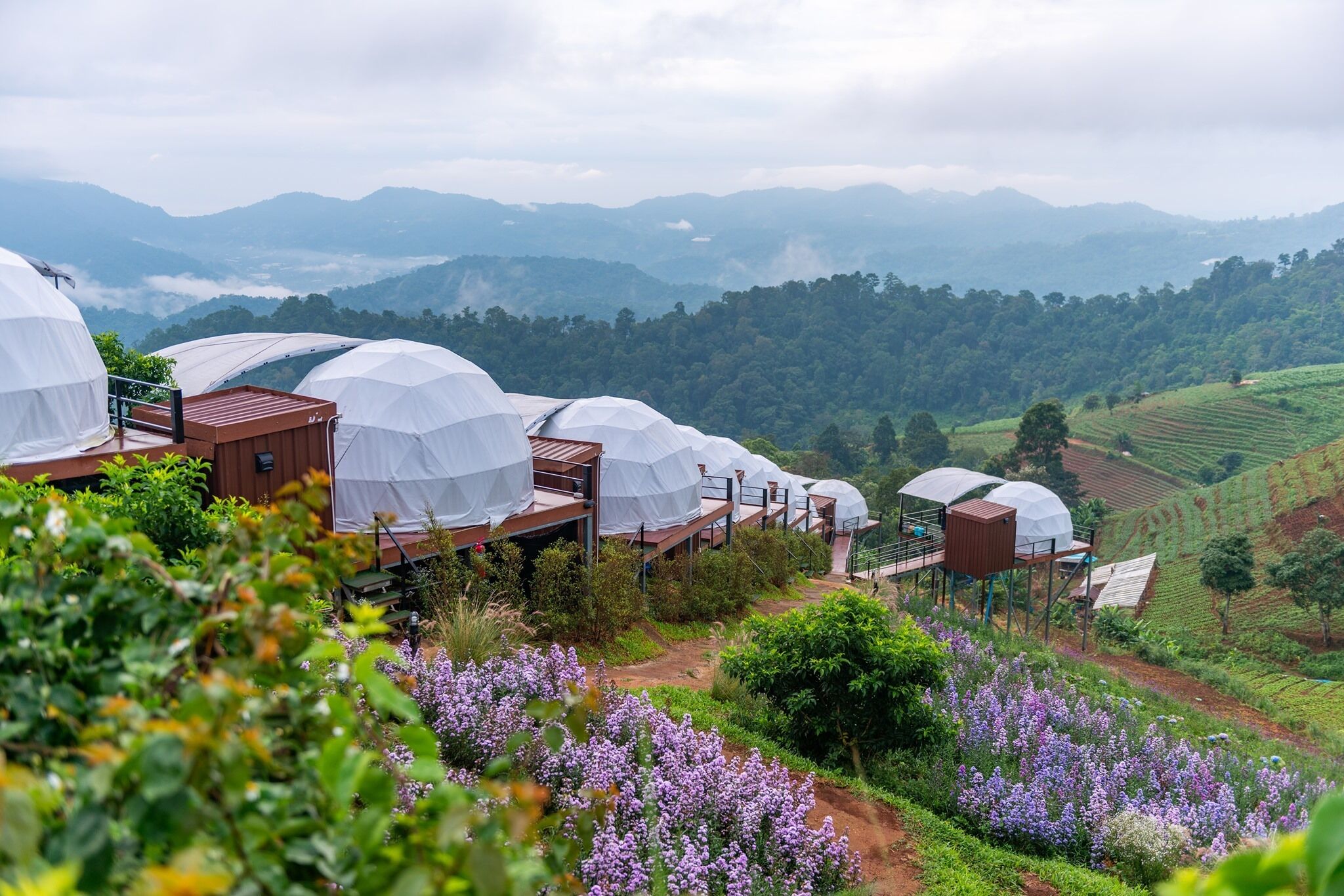 A series of dome-shaped structures with wooden walkways, set in a lush, hilly landscape with purple flowers in the foreground.