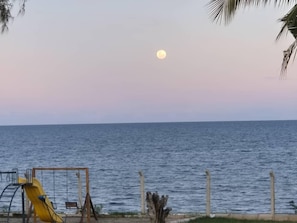 A beach view with a swing set and a slide, a palm tree, and a calm sea under a moonlit sky.