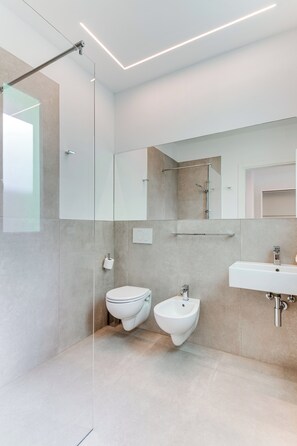 Shower, hair dryer, bidet, towels