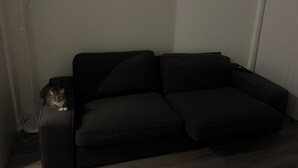 A dark-colored sofa in a corner of a room with a white wall and a visible power outlet. - "Chic Retreat: Pet & Smoke-Friendly, Balcony Views, Prime Location!" (Vaughan)