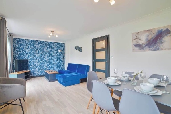 Modern and stylish living room with a bold blue accent wall, cozy sofa bed, and plenty of natural light—perfect for relaxing or entertaining.