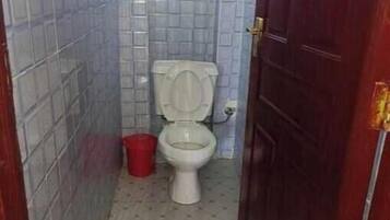 Shower, towels, soap, toilet paper