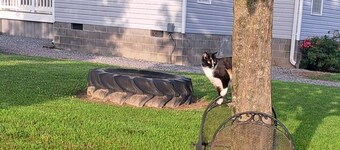 Modern Bunkhouse in a rural Virginia setting near Williamsburg & Smithfield