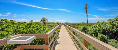 A wooden boardwalk leading through a lush green area with a clear blue sky.
