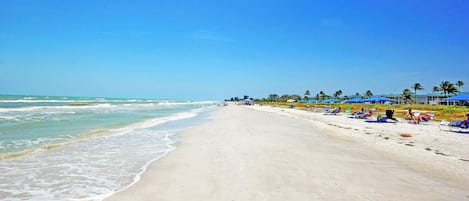 Playa