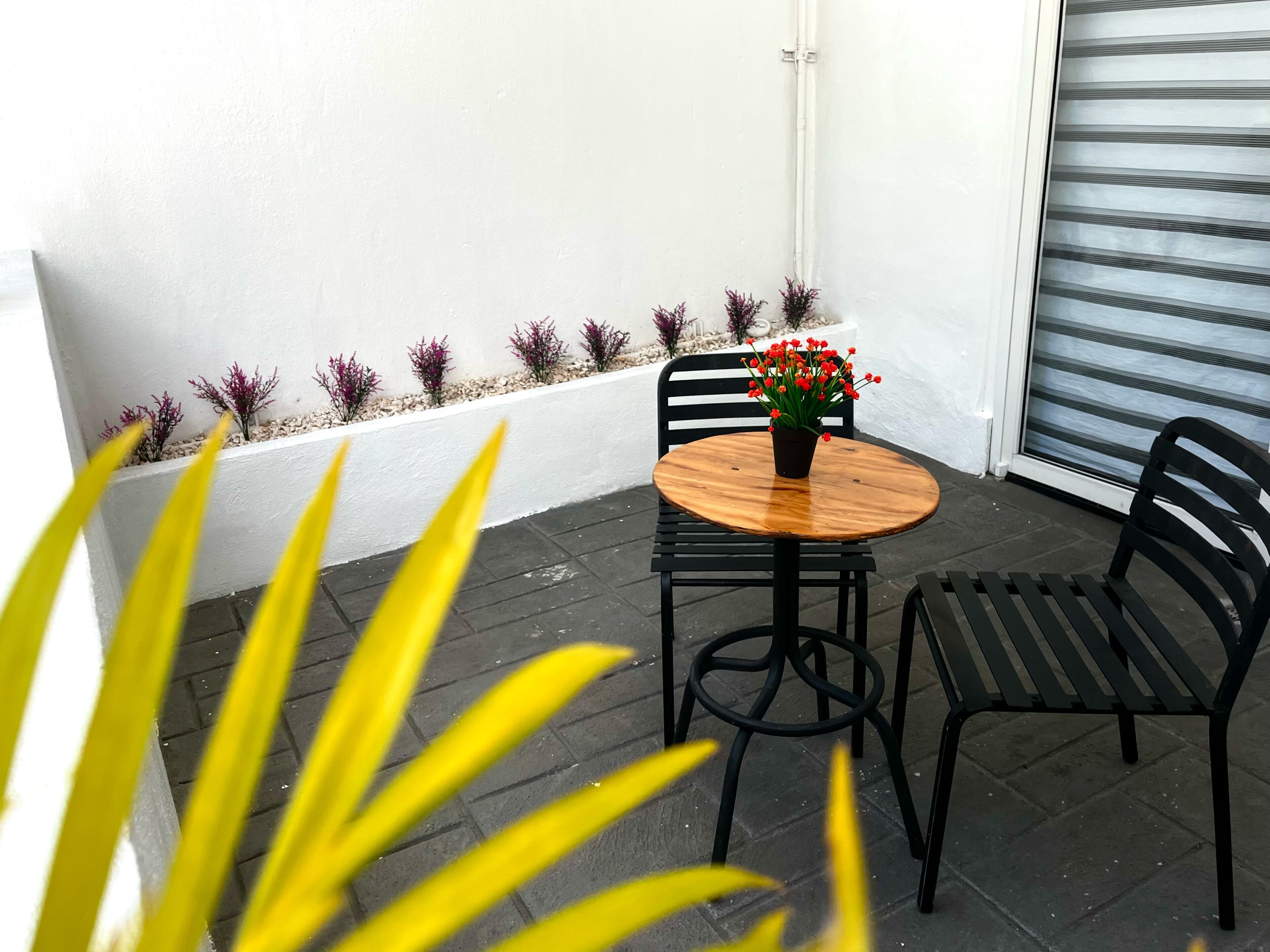 Loft Economy, 1 letto queen, non fumatori, vista giardino | Terrazza/patio