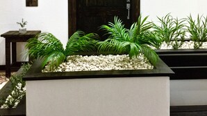 A modern entryway with a wooden door, a small table with a plant, and a decorative wall piece. - MOKA HOUSE (Santo Domingo)