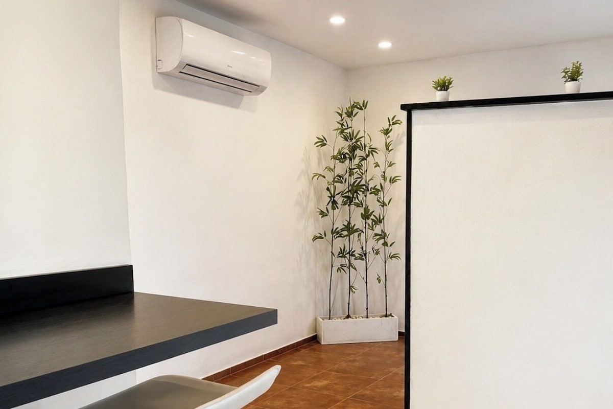 Suite estudio clásica, vista al jardín | Caja de seguridad en la habitación y cortinas blackout 
