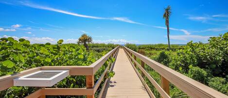 A wooden boardwalk leading through a lush green area with a clear blue sky.