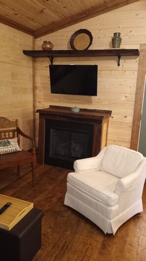 Smart TV, chimenea, libros