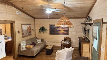 Smart TV, fireplace, books