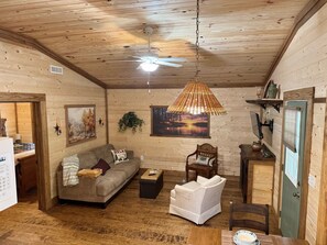 Smart TV, chimenea, libros