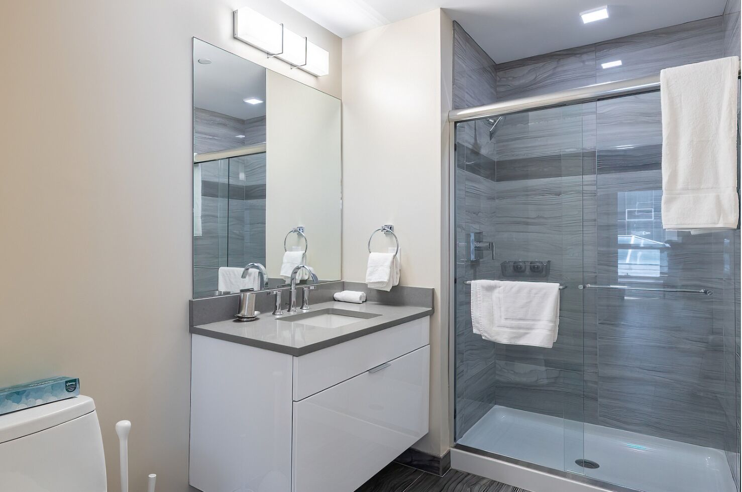 Luxury Apartment, 2 Bedrooms, Pets Allowed | Bathroom | Combined shower/tub, free toiletries, hair dryer, towels