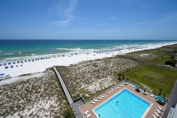 A beach view with a swimming pool, beach umbrellas, and lounge chairs.