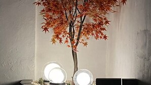 A room with a tree sculpture and two illuminated circular objects on a platform. - Day8 Hotel  (Cologne)