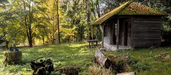 Château Champêtre 8 rooms, 18 ha park, 4 ponds