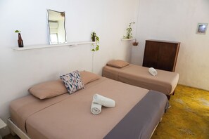A room with two beds, a mirror, and shelves with plants.