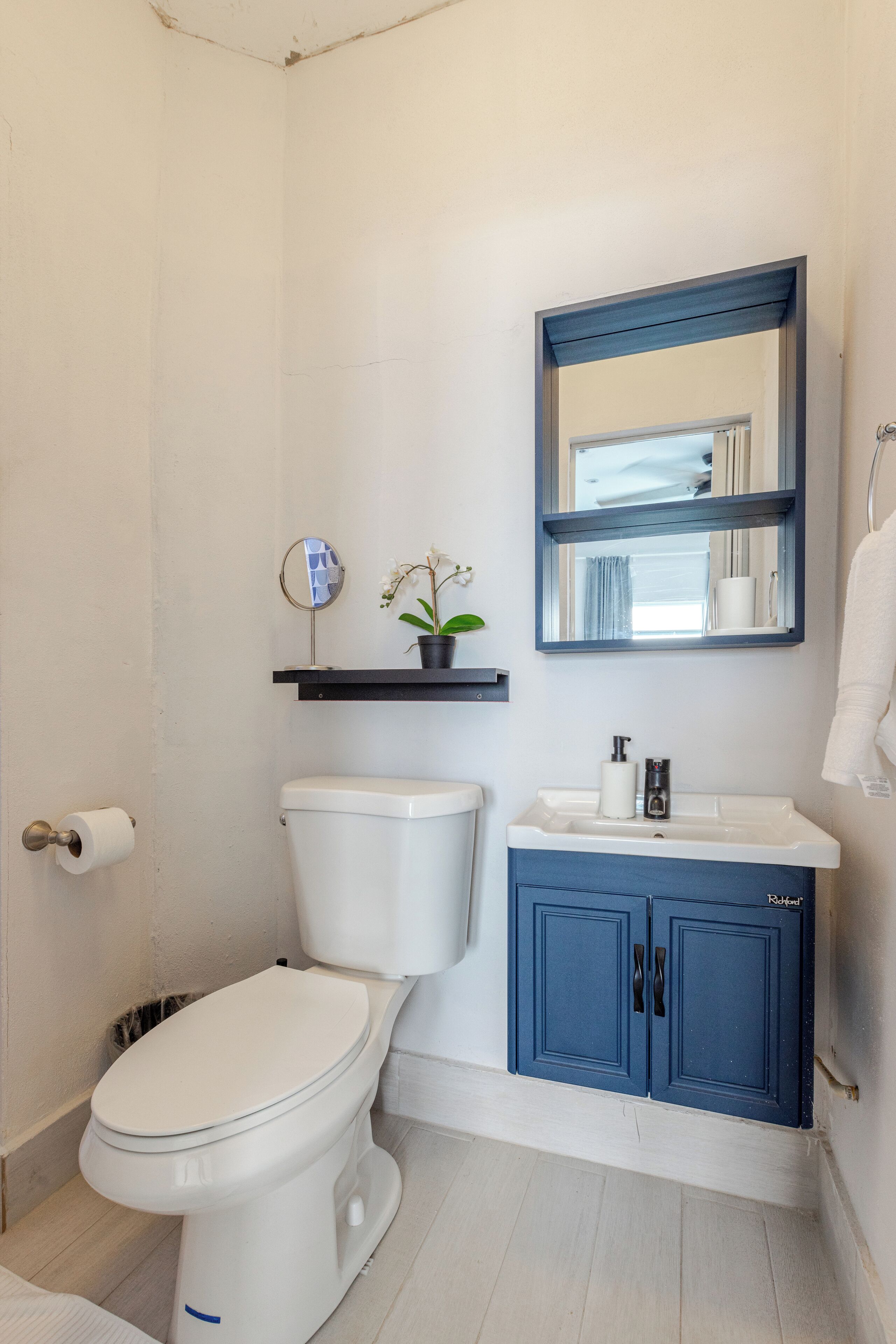 A bathroom with a white toilet, a blue vanity, a mirror, and a small shelf with a plant.