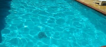 Sizzling Waters Resort 