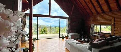 تلفزيون، مدفأة