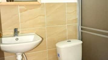 Shower, towels, soap, toilet paper