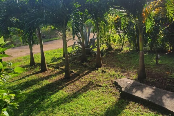 b36dd9e1-dc61-415b-956b-347ece355421