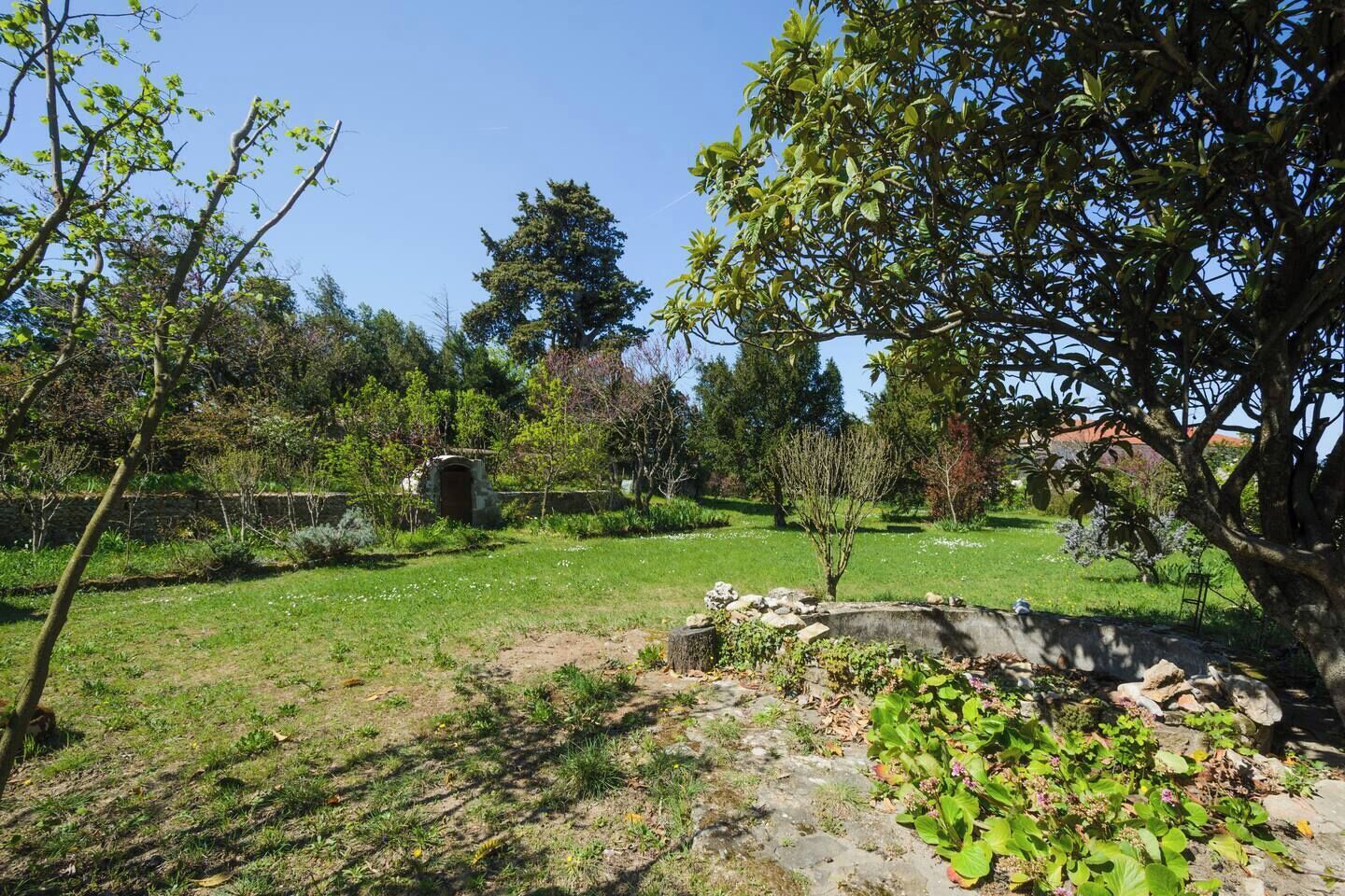 A garden with a stone wall, a small tree, and a grassy area.