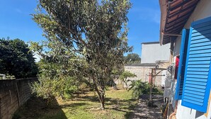 A narrow pathway leading to a building with blue shutters, surrounded by greenery and a tree. - Pousada Casa Matriz (Itabirito)