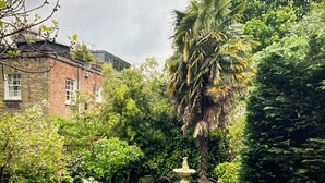 Eine Terrasse mit Tisch und Stühlen, umgeben von üppigem Grün und einer Palme.