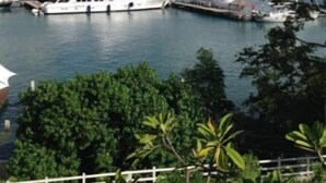 Un puerto deportivo con varios veleros amarrados, rodeado de vegetación y colinas al fondo.