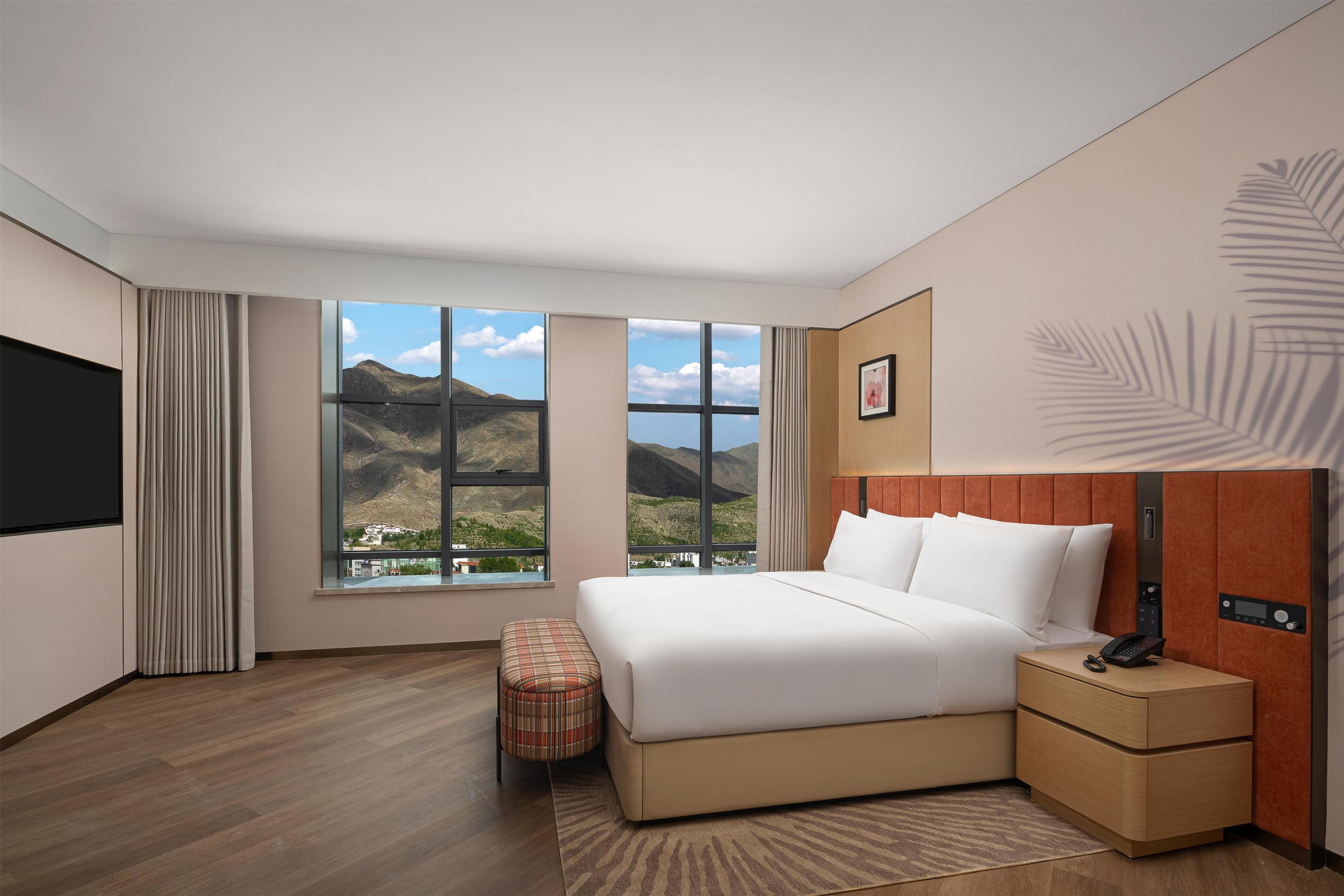 Svit Deluxe - 1 kingsize-säng | Gratis wi-fi