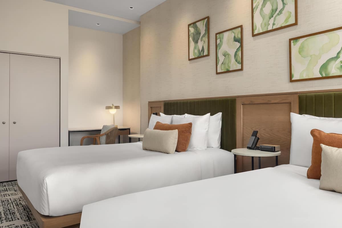 Roupas de cama premium, edredons de pluma, cofres nos quartos