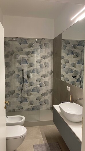 Shower, hair dryer, bidet, towels