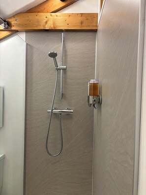 Shower, eco-friendly toiletries, hair dryer, towels