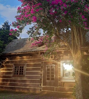 Comfort-Haus, Seeblick | Terrasse/Patio