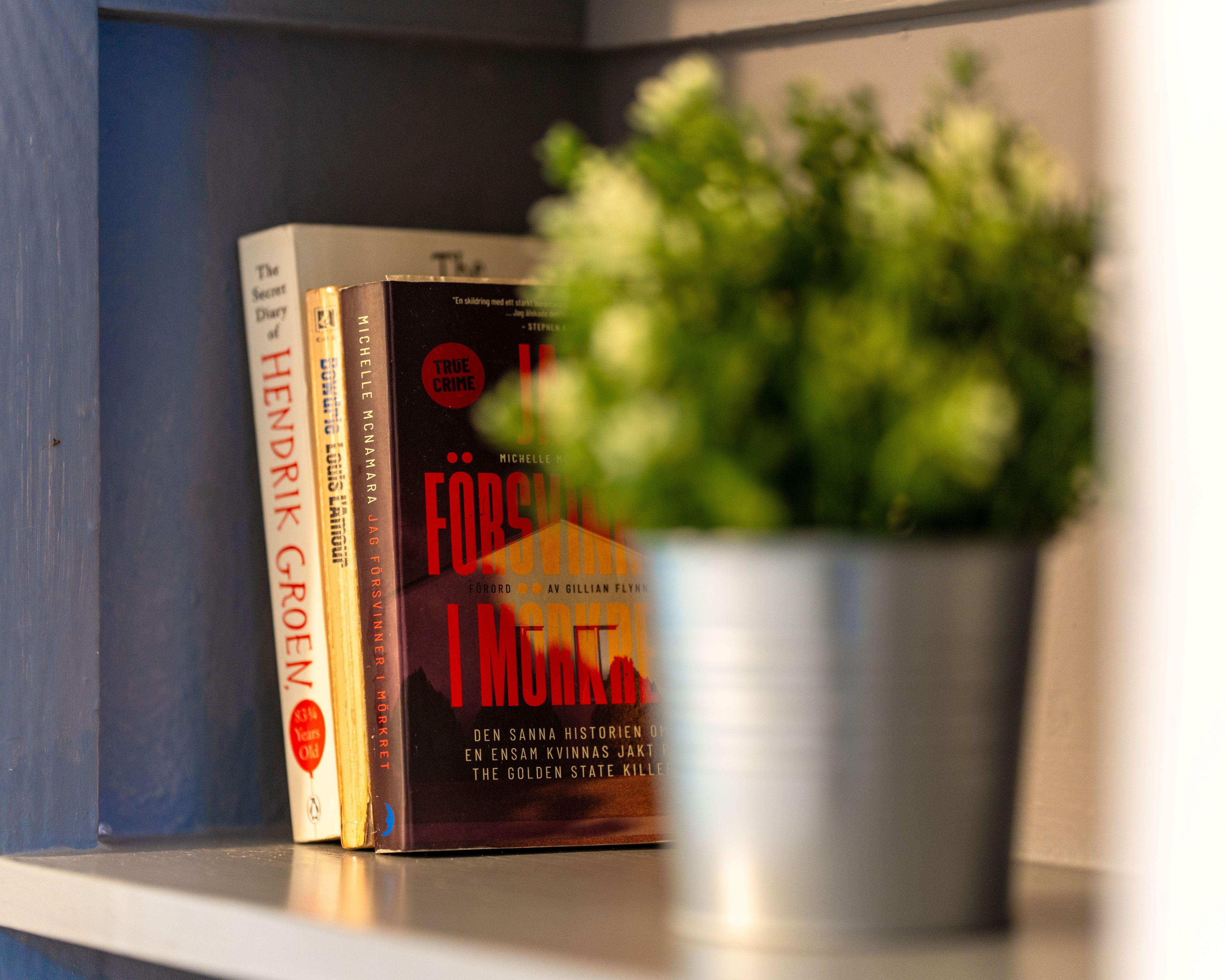 A bookshelf with books and a potted plant.