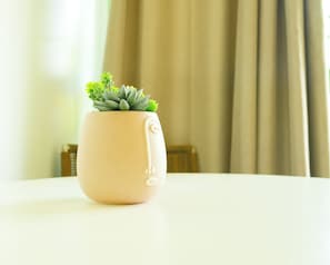A potted succulent on a table with a curtain in the background. - Sunset Lane Apartment Hotel (Holetown)