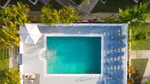 Vue aérienne d’une piscine rectangulaire dotée d’un plongeoir, entourée de palmiers et de chaises longues.