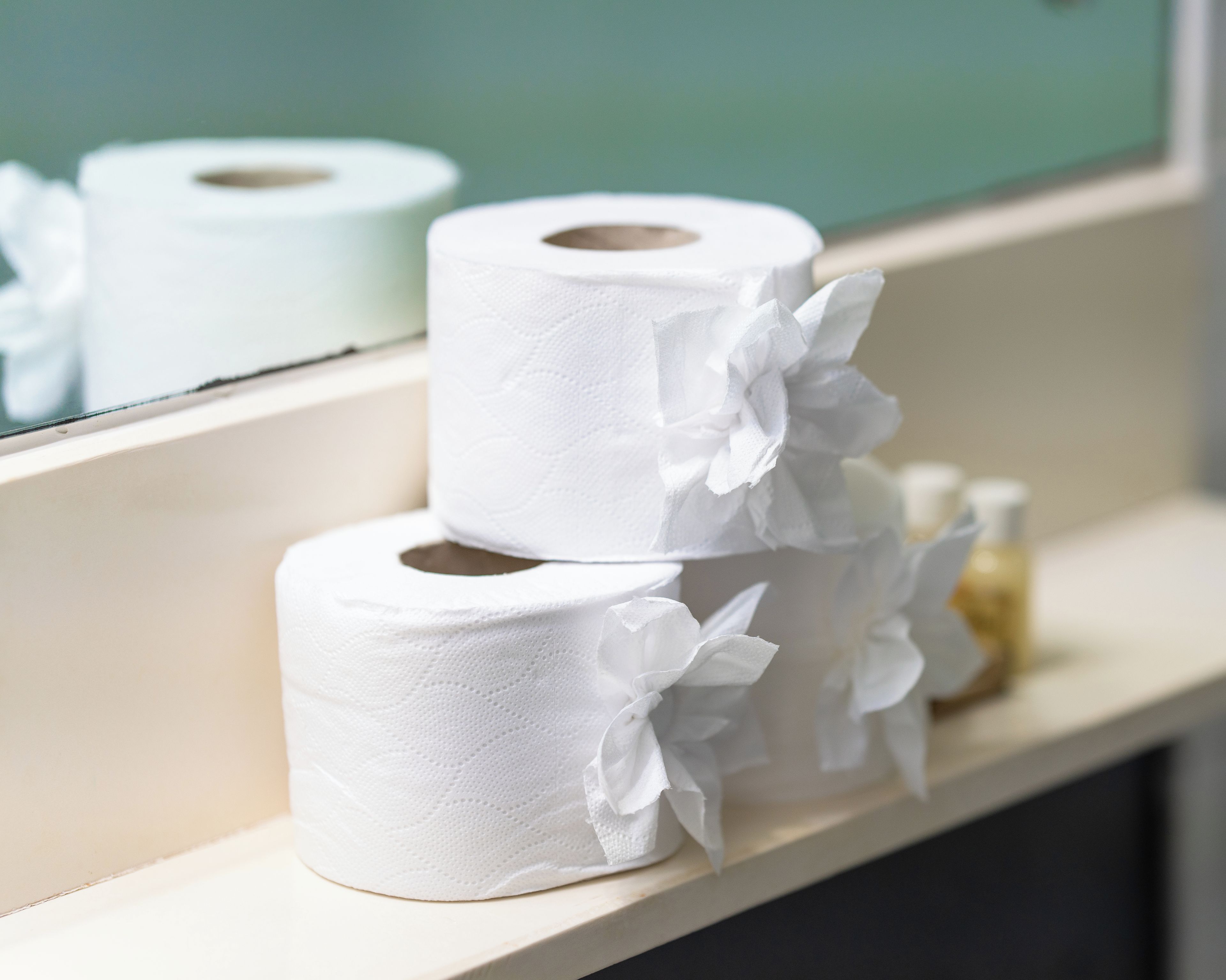 Dos rollos de papel higiénico en una estantería.