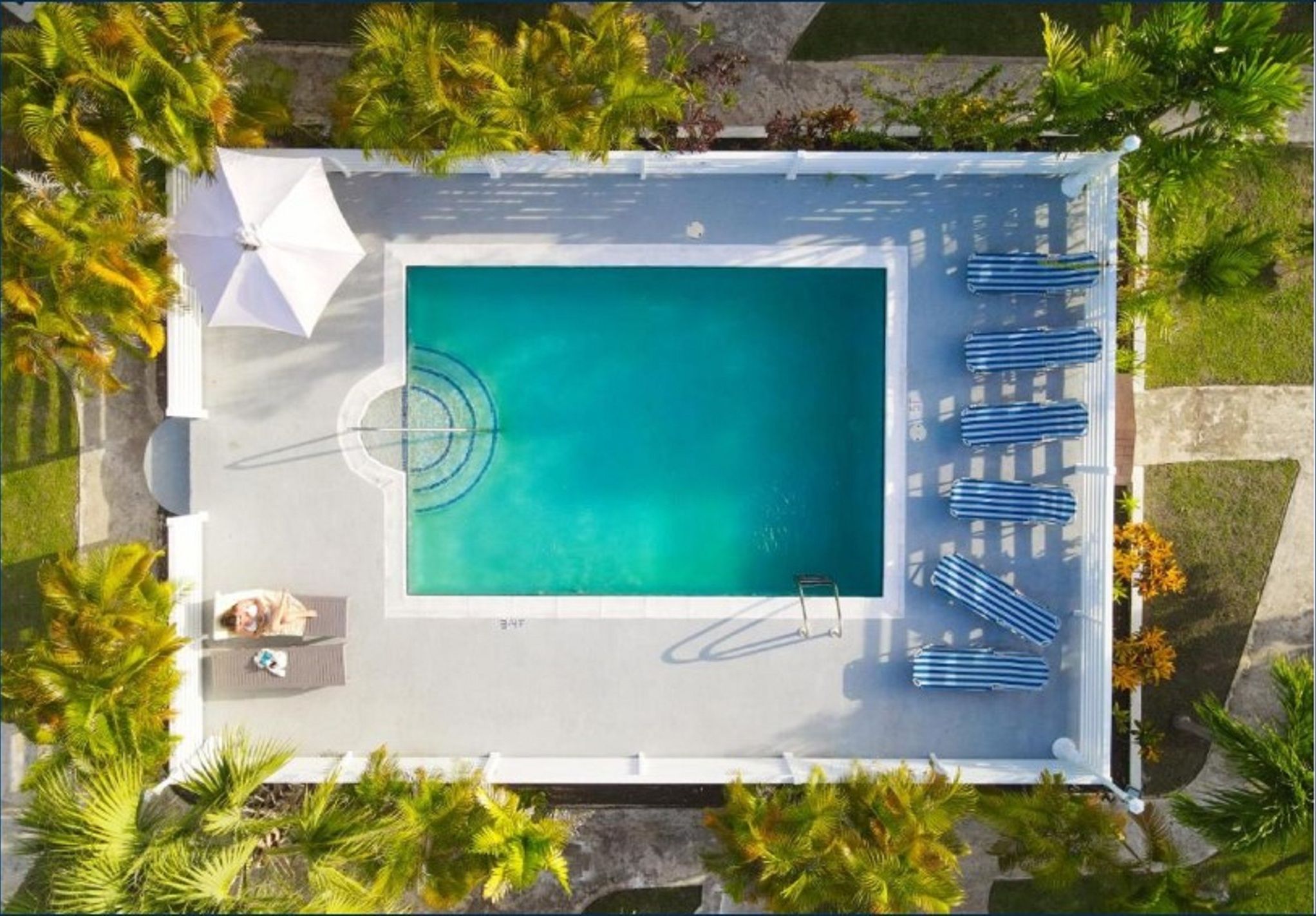 An aerial view of a rectangular swimming pool with a lounge area, surrounded by palm trees and a white fence.