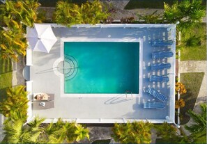 Vue aérienne d’une piscine rectangulaire dotée d’un espace de détente, entourée de palmiers et délimitée par une clôture blanche.