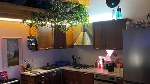A modern kitchen with wooden cabinets, a stainless steel refrigerator, a gas stove, and a hanging plant. - Apartment in the heart of the Valtellina, in an 18th century farmhouse. (Morbegno)