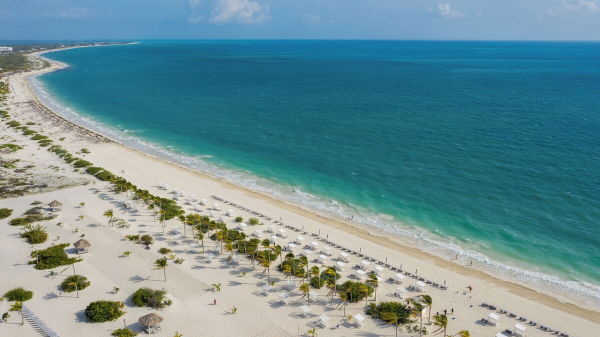 Majestic Mirage Costa Mujeres